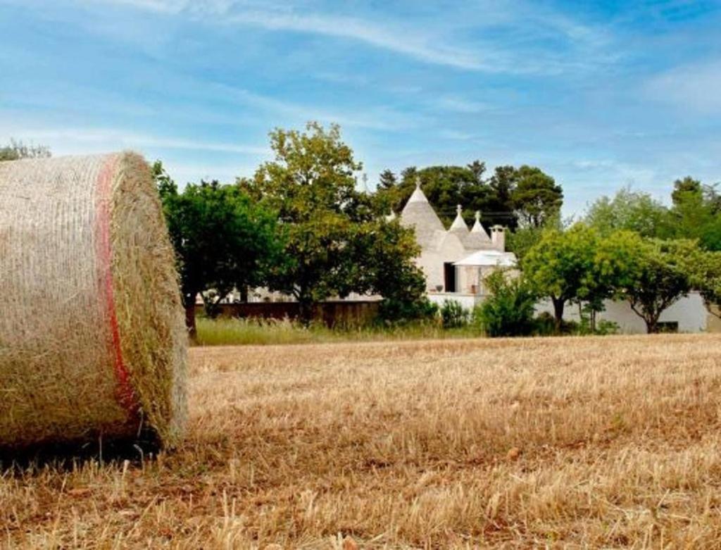 Trulli Delle Rose Villa Martina Franca Ngoại thất bức ảnh
